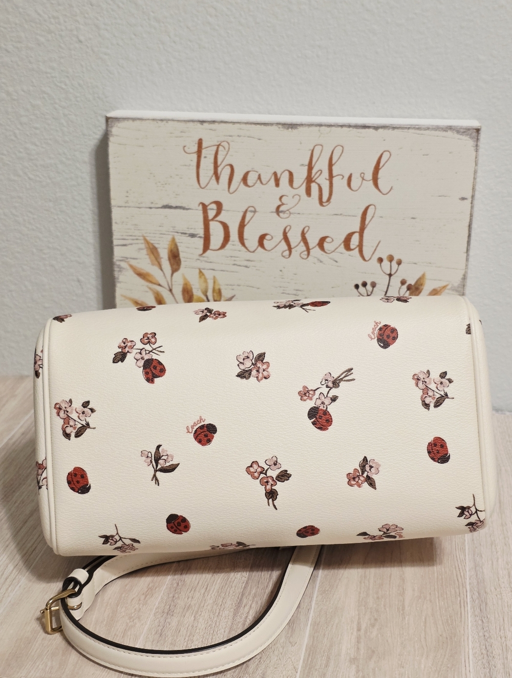 Coach RARE Rowan MEDIUM Crossbody Chalk Ladybug Floral + gold Coach C charm ๐๐ - Picture 10 of 16